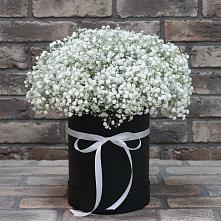 Цветочная композиция из Гипсофила в шляпной коробке #REPLACE_PRED# Верхнерусском