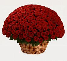 Премиум букет из: Розы в Верхнерусском